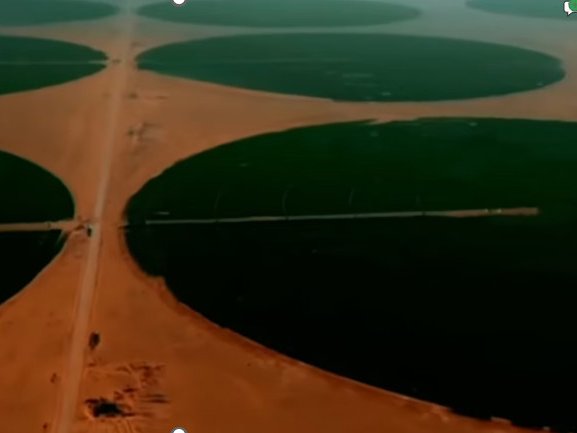 Champs irrigués de céréales en Algérie