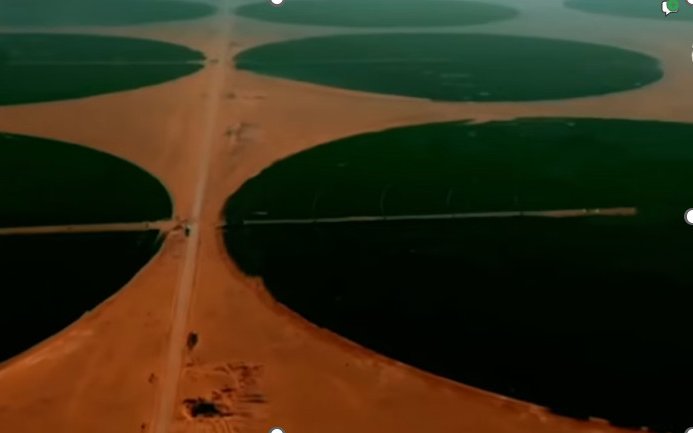 Champs irrigués de céréales en Algérie