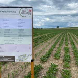 Soil evolution 2026