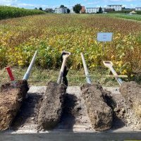 Quatre structures de sol - Oberacker 2025