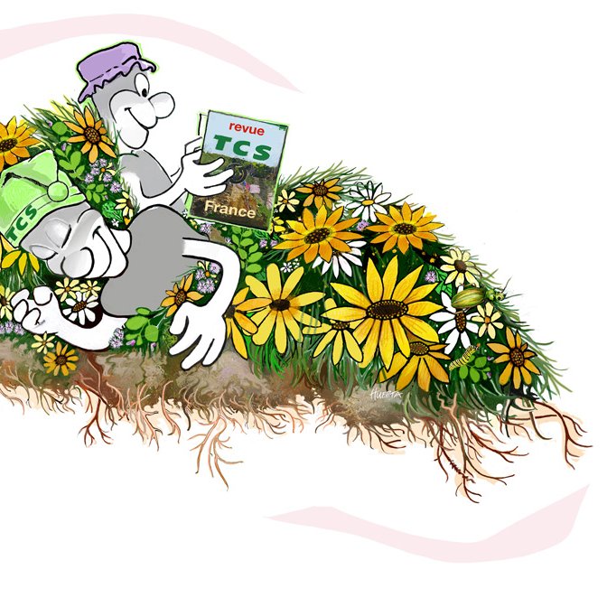 sites/agriculture-de-conservation.com/IMG/jpg/au_lit-2.jpg