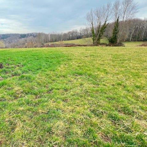 Prairie en sous nutrition