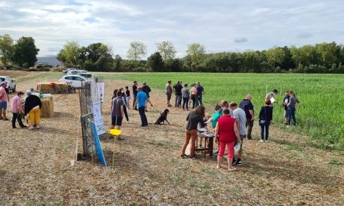 Visiteurs sur la plate-forme