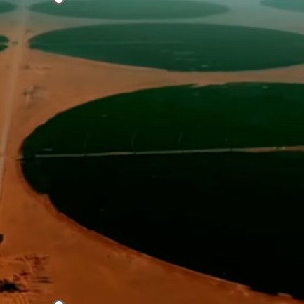 Champs irrigués de céréales en Algérie