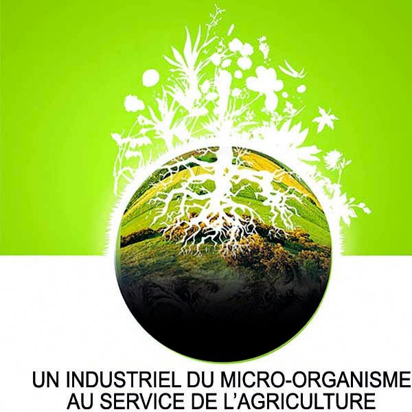 sites/agriculture-de-conservation.com/IMG/jpg/ithec_terre.jpg