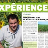 EXPÉRIENCE