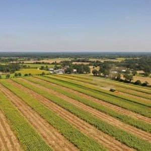 sites/agriculture-de-conservation.com/IMG/jpg/parcelle_en_bande_-_tournesol_et_moisson_cereale_2024.jpg