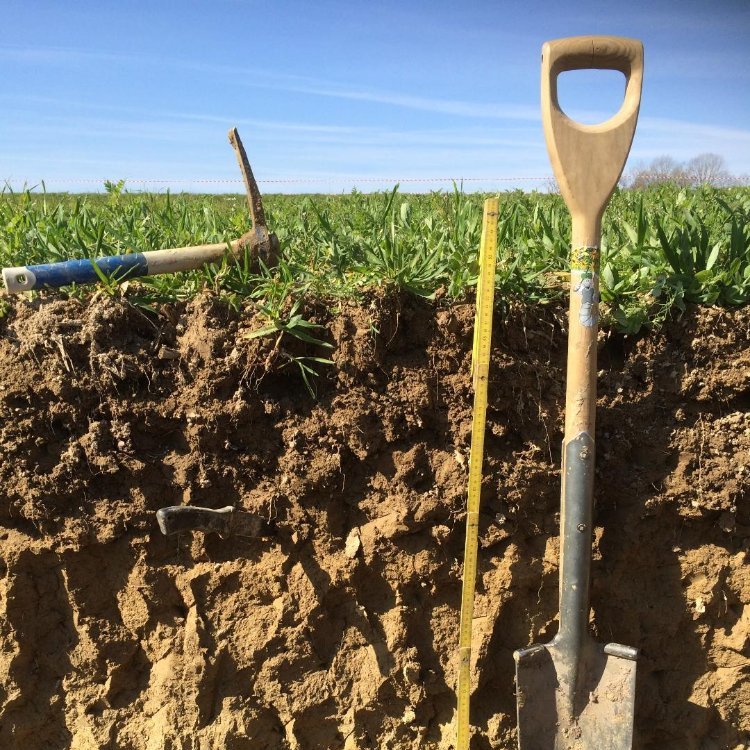 sites/agriculture-de-conservation.com/IMG/jpg/profil_ft.jpg