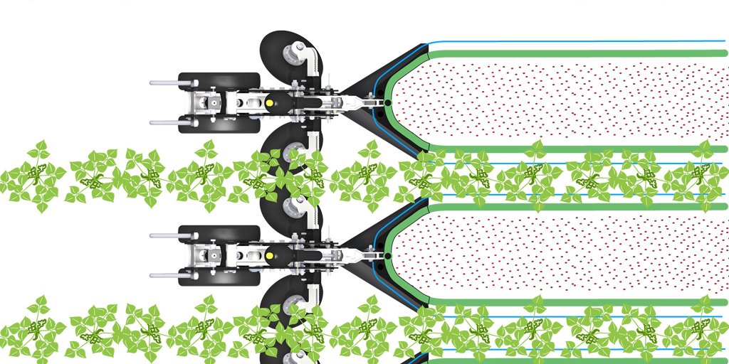 Semis en bande et fertilisation