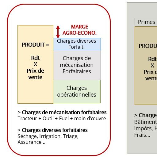 Marge brute, agro-économique et nette
