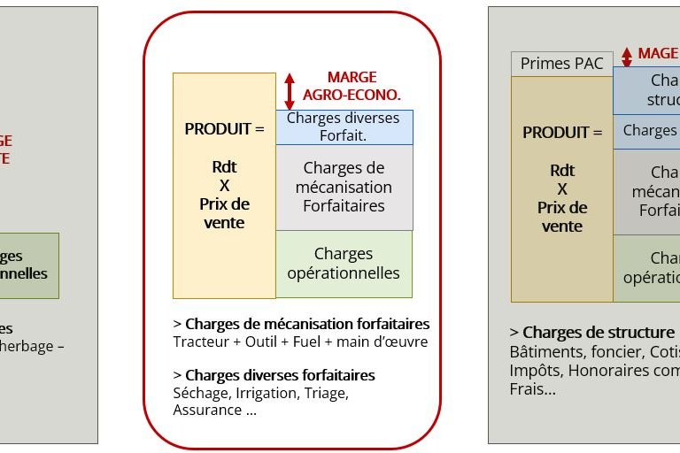Marge brute, agro-économique et nette
