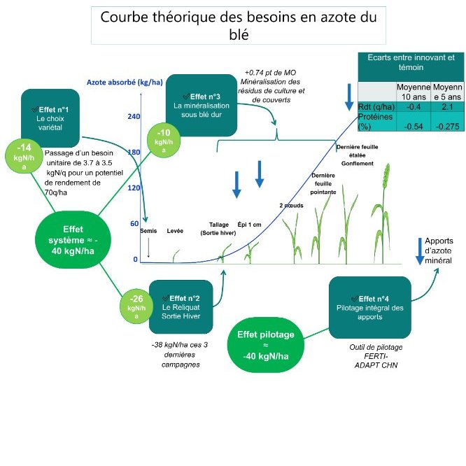 Quantification des économies d'azote minéral apporté sur blé dur innovant au regard de la courbe théorique des besoins en azote