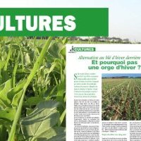 EN CULTURES