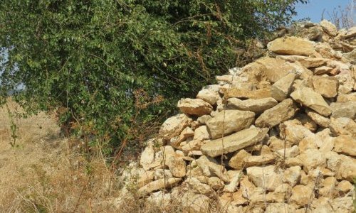 Tas de pierres en bord de parcelle dans l'Yonne