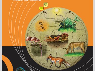 Qu'est-ce que l'Agriculture Ecologiquement Intensive ? AEI