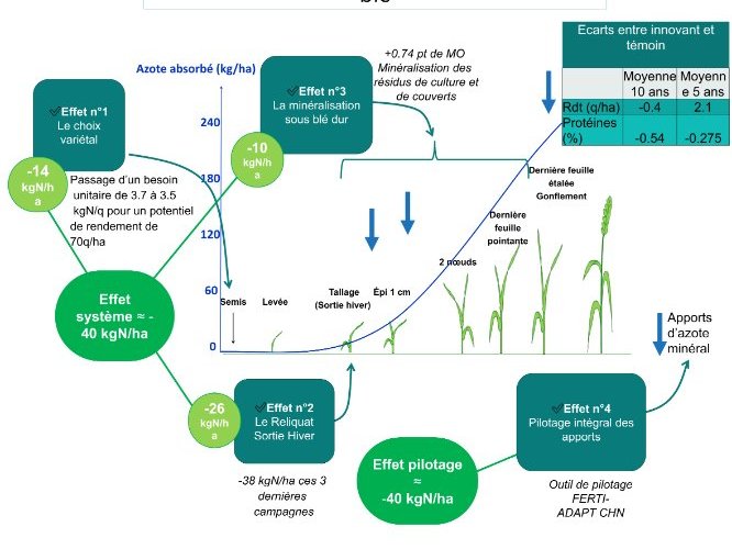 Quantification des économies d'azote minéral apporté sur blé dur innovant au regard de la courbe théorique des besoins en azote