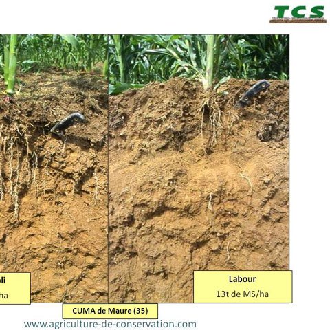 sites/agriculture-de-conservation.com/IMG/jpg/cipan-02.jpg