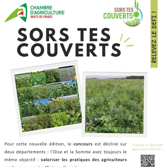 sites/agriculture-de-conservation.com/IMG/jpg/sors_tes_couverts_affiche_2024.jpg