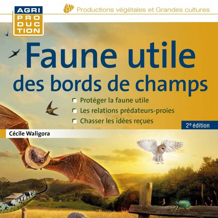 Faune utile des bords de champs