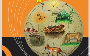 Qu'est-ce que l'Agriculture Ecologiquement Intensive ? AEI