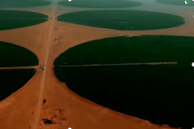 Champs irrigués de céréales en Algérie