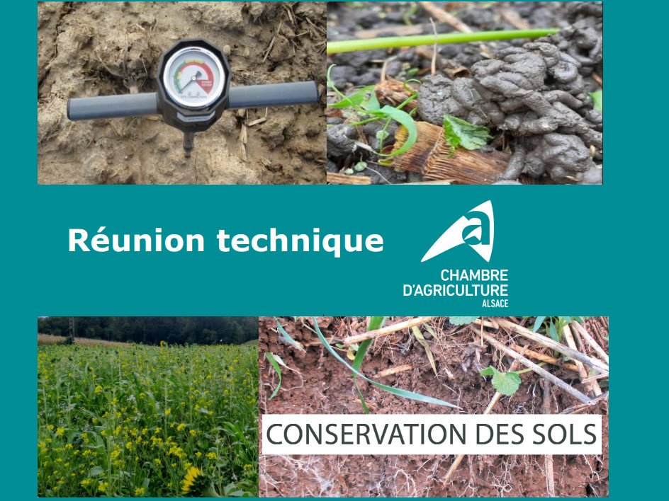 sites/agriculture-de-conservation.com/IMG/jpg/reunion_tech_acs_ca-alsace.jpg