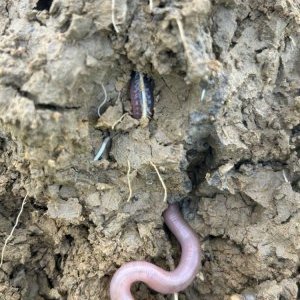 Equipe de travail...