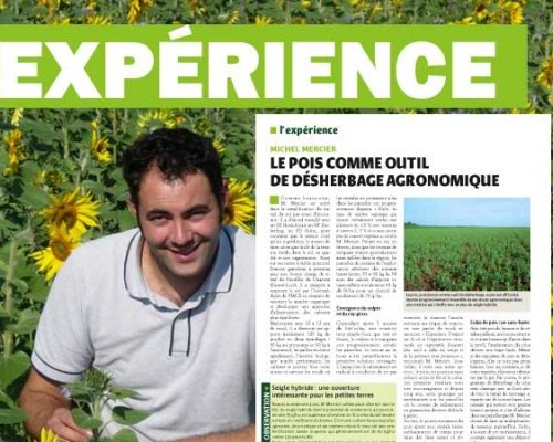 EXPÉRIENCE