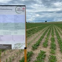 Soil evolution 2026