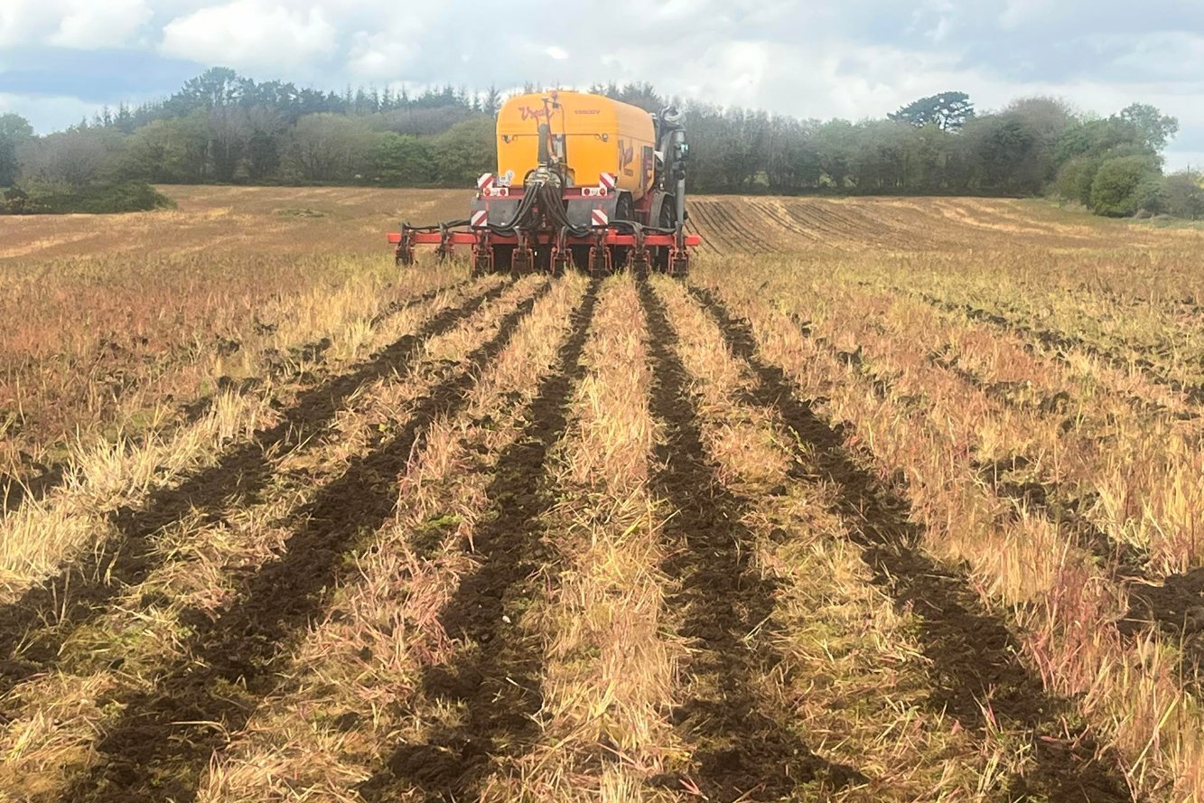 Lisier sur couvert avant semis de maïs