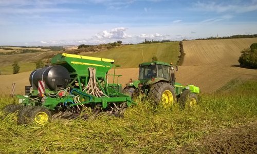 Semis direct dans un couvert de sorgho - Sud Ouest de la France