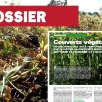 Le DOSSIER