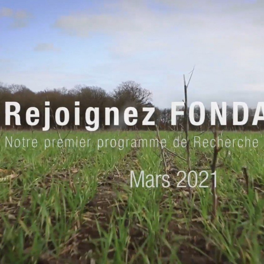 Programme FONDATION de Lallemand