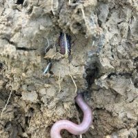 Equipe de travail...