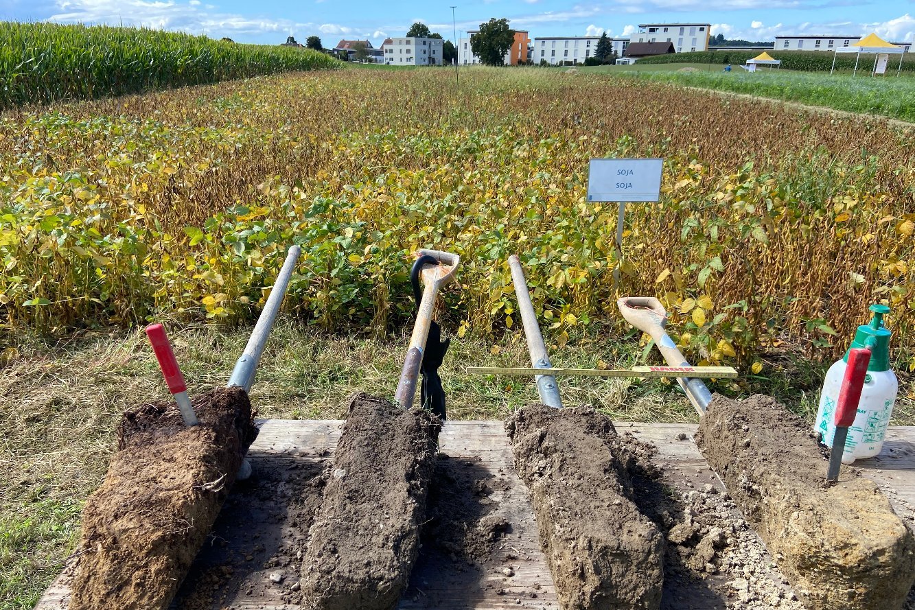 Quatre structures de sol - Oberacker 2025