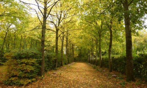 Exemple d'allée de ferme