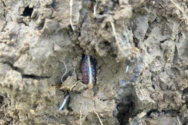 Equipe de travail...