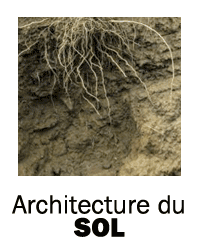 Architecture du sol