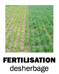 Fertilisation / Désherbage