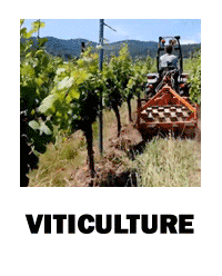 Viticulture