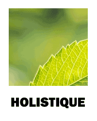 Holistique/Système