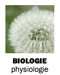 Biologie / Physiologie