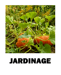 Jardinage