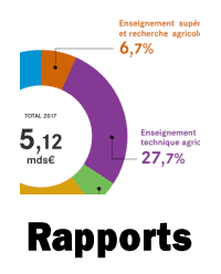 Rapports