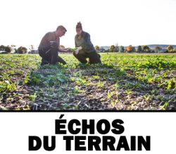 Echos du terrain