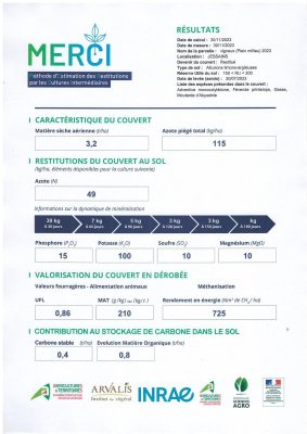 Résultat Merci couvert semé fin juillet 2023