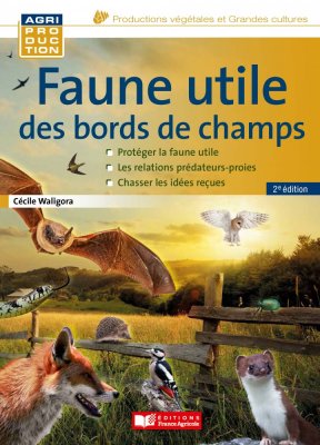 Faune utile des bords de champs