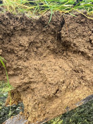 Mini profil de sol 3D en boulbènes