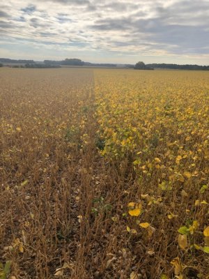 Soja après utilisation J3C Start