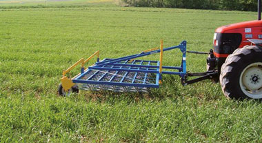 Etrillage d'une prairie